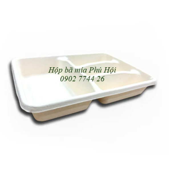 Hộp bã mía 4 ngăn nắp PET tại Quận Bình Tân TP HCM